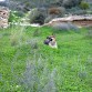 Yuli en el Campo.